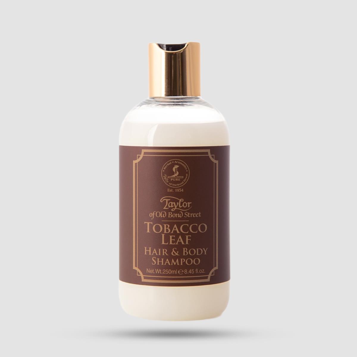 Hair & Body Shampoo - Taylor Of Old Bond Street - Tobacco Leaf 250ml