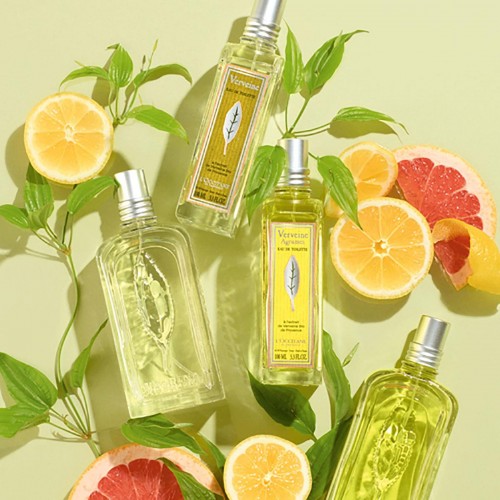 Eau De Toilette - L'occitane - Verbena 100ml