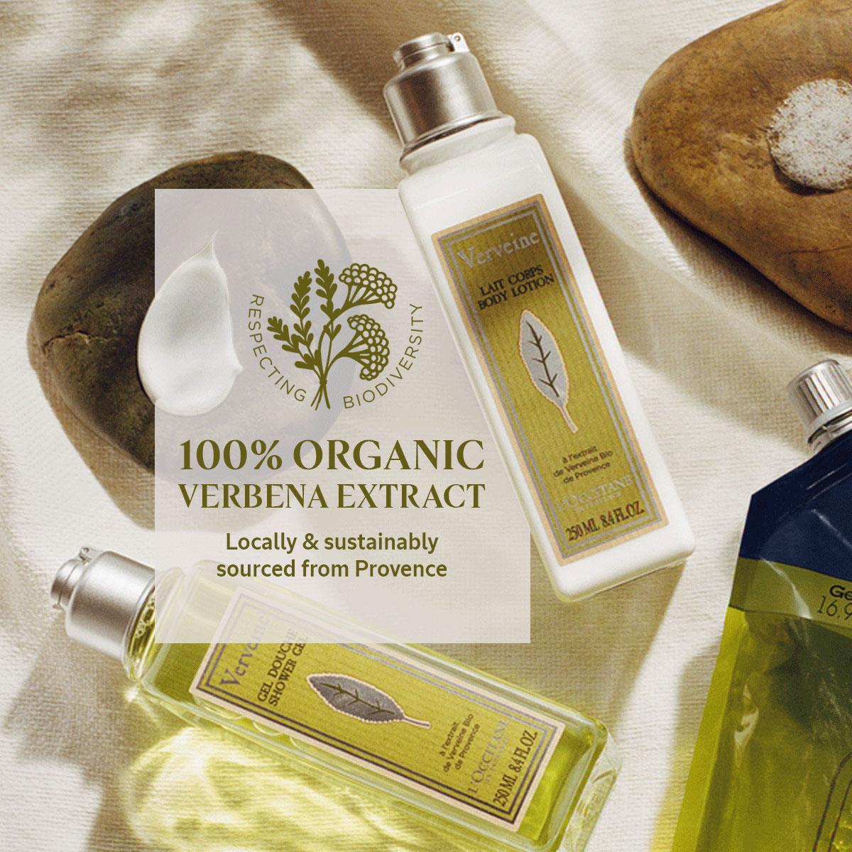 Body Milk - L'occitane - Verbena 250ml