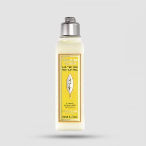 Body Milk - L'occitane - Citrus Verbena Fresh 250ml