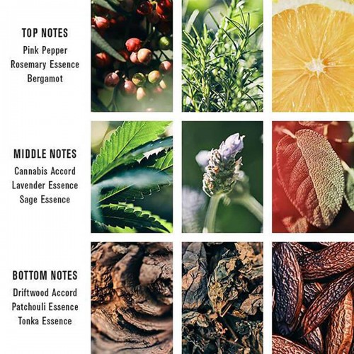 Pacific Cannabis Eau De Parfum Baxter of California - Unisex Fragrance - Αρωματικό Υδατικό Άρωμα