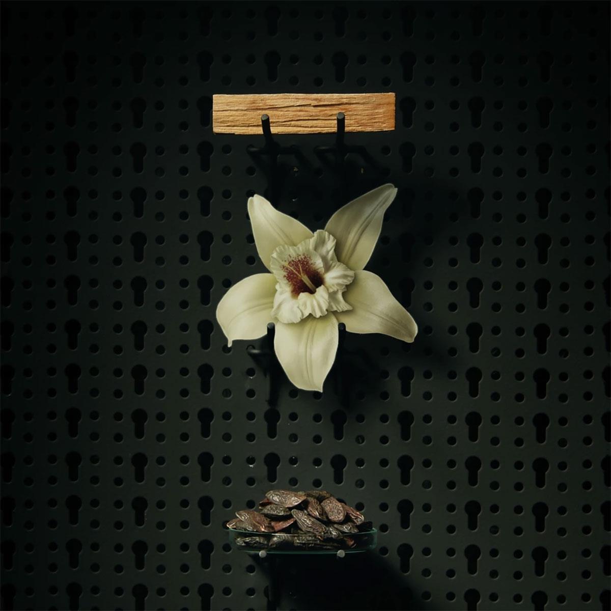 Λάδι Γενειάδας BEVIRO Honkatonk Vanilla 30ml - Grooming - 5 φυσικά έλαια με άρωμα βανίλιας