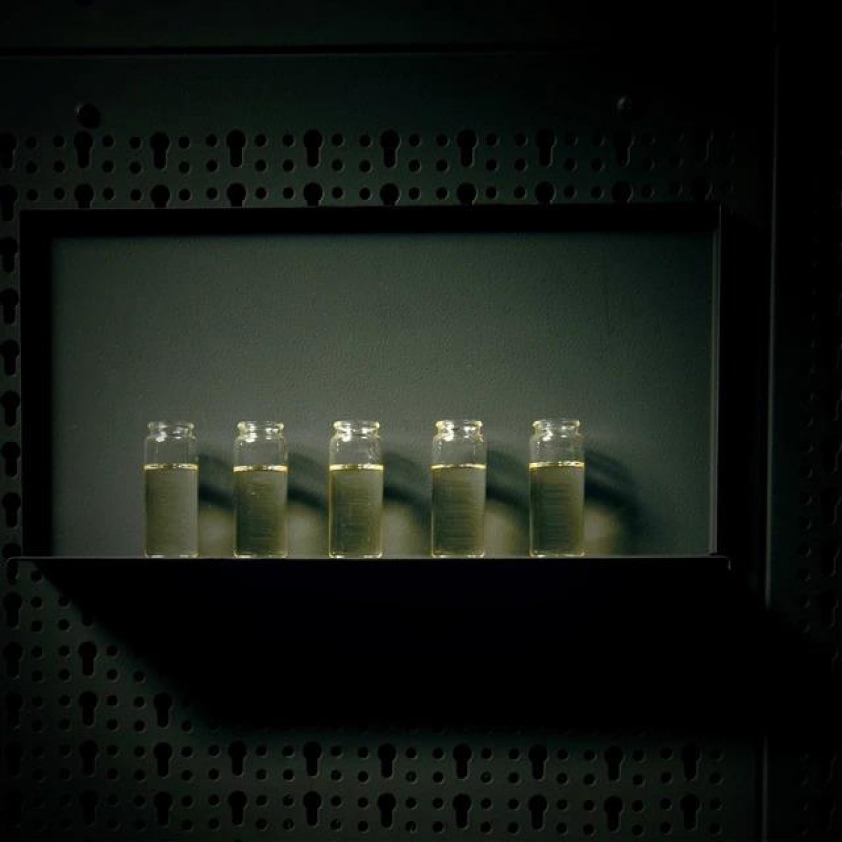 Beviro Bergamia Wood Beard Oil 1ml Sample - Grooming - Sample Size