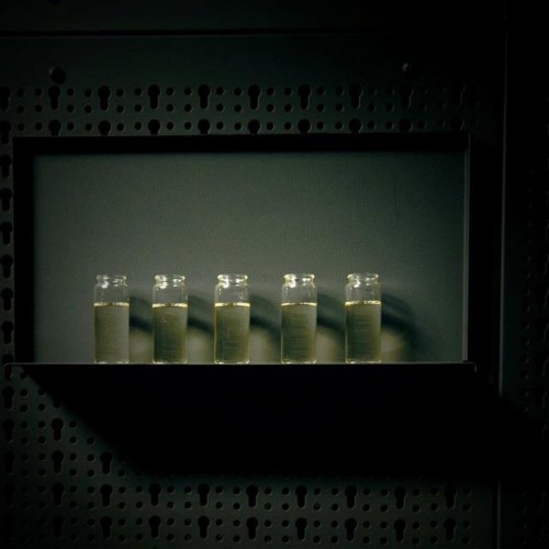 Beviro Bergamia Wood Beard Oil 1ml Sample - Grooming - Sample Size