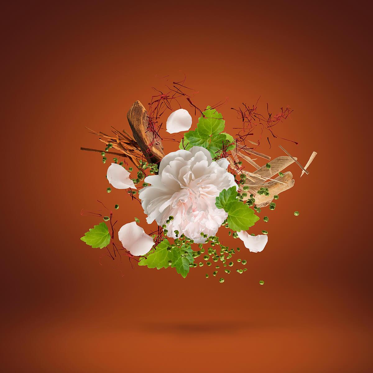 1888 Casamorati Sample 2ml Xerjoff - Oriental Floral Eau de Parfum - Unisex άρωμα