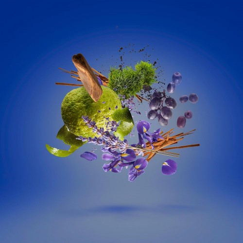 Eau De Parfum Mefisto Casamorati 1888 100ml - Ανδρικό άρωμα - Citrus Aromatic με διάρκεια 10+ ώρες