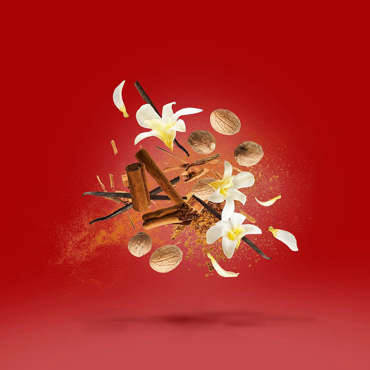 Casamorati 1888 Bouquet Ideale Eau de Parfum 100ml - Ανατολίτικο ξυλώδες άρωμα με βανίλια και σανταλόξυλο