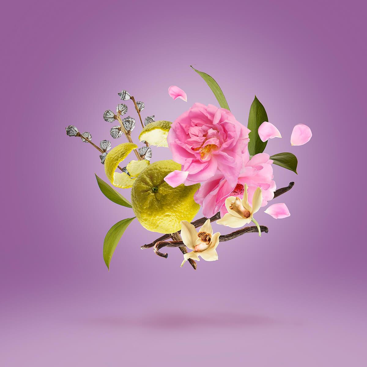 La Tosca Casamorati 1888 - Eau de Parfum 30ml - Chypre Floral Γυναικείο Άρωμα