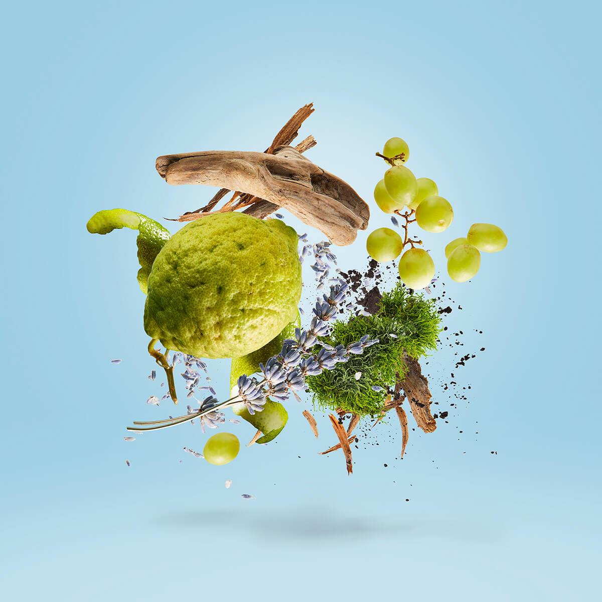 Mefisto Gentiluomo Casamorati 1888 - Eau De Parfum - Κλασικό barbershop άρωμα