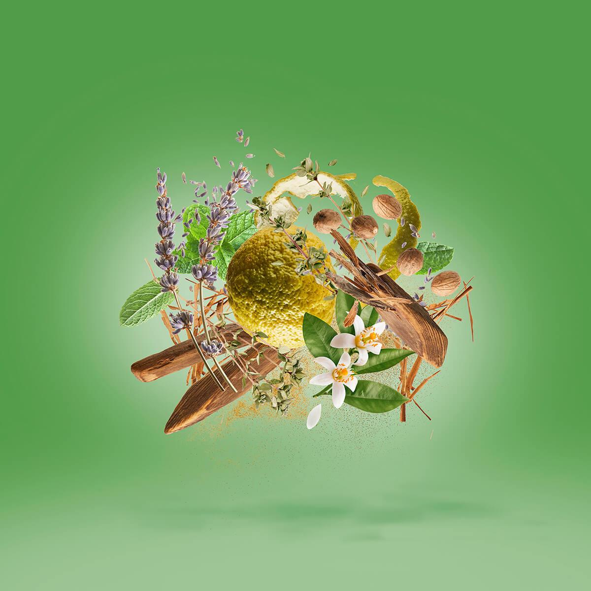 Eau De Parfum Casamorati 1888 Fiero 100ml - Ανδρικό άρωμα - Διάρκεια 8-10 ώρες