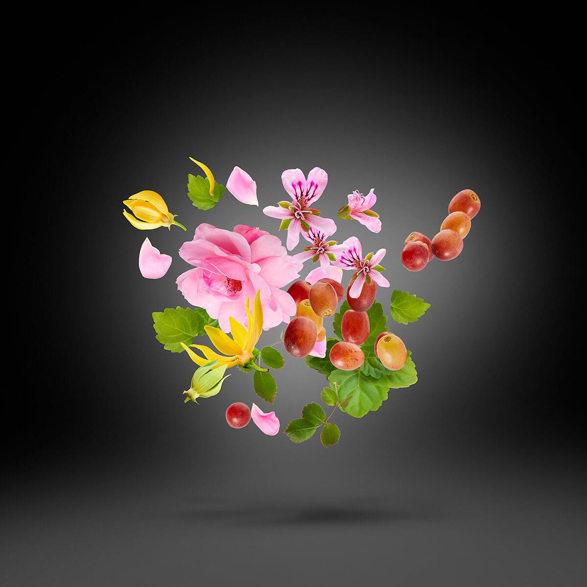 Casamorati 1888 Regio Eau de Parfum 100ml - Unisex Oriental Floral Άρωμα