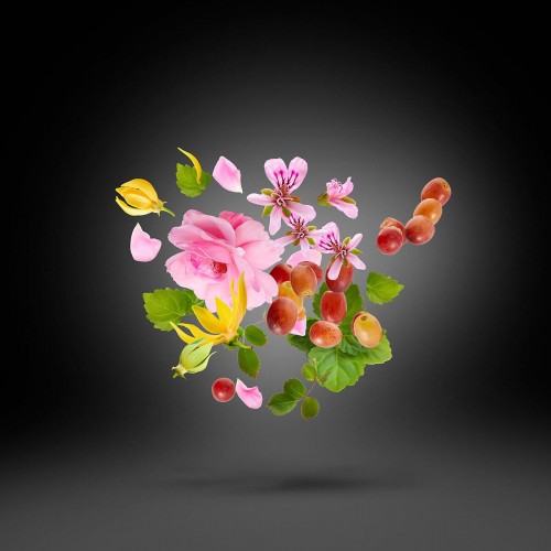 Casamorati 1888 Regio Eau de Parfum 100ml - Unisex Oriental Floral Άρωμα