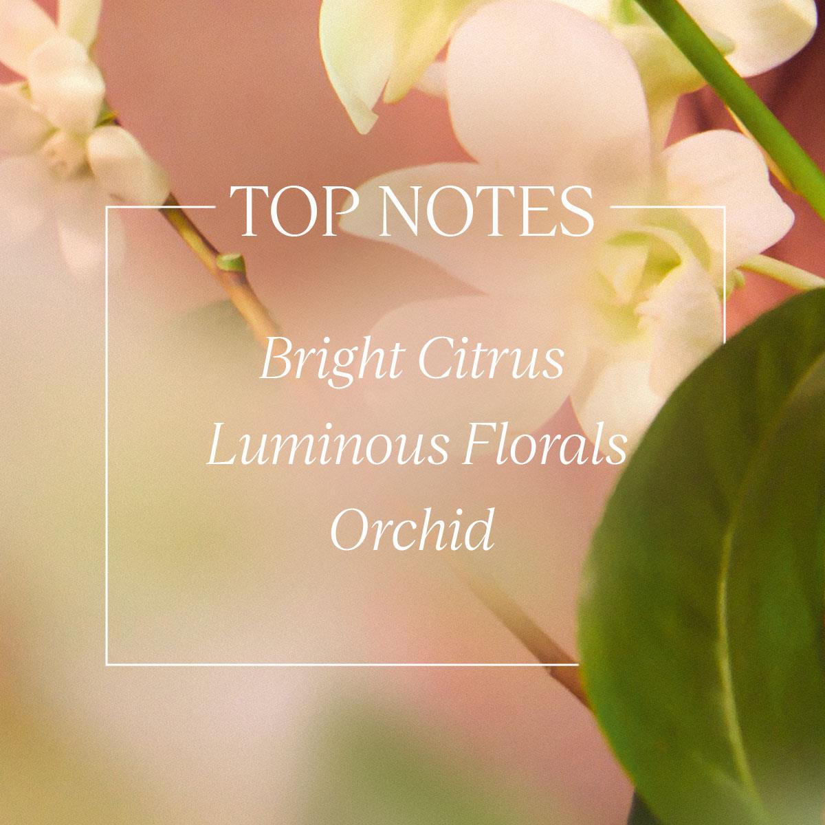 Neroli & Orchidee Eau de Toilette L'OCCITANE - Γυναικείο Άρωμα - Floral με neroli και ορχιδέα