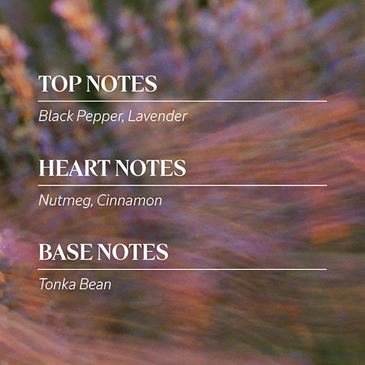 L'Occitan Eau de Toilette 75ml L'OCCITANE - Men's fragrance with lavender and black pepper