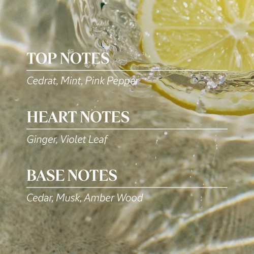 Cap Cedrat L'Occitane Eau de Toilette 75ml - Ανδρικό άρωμα με cedrat και μέντα