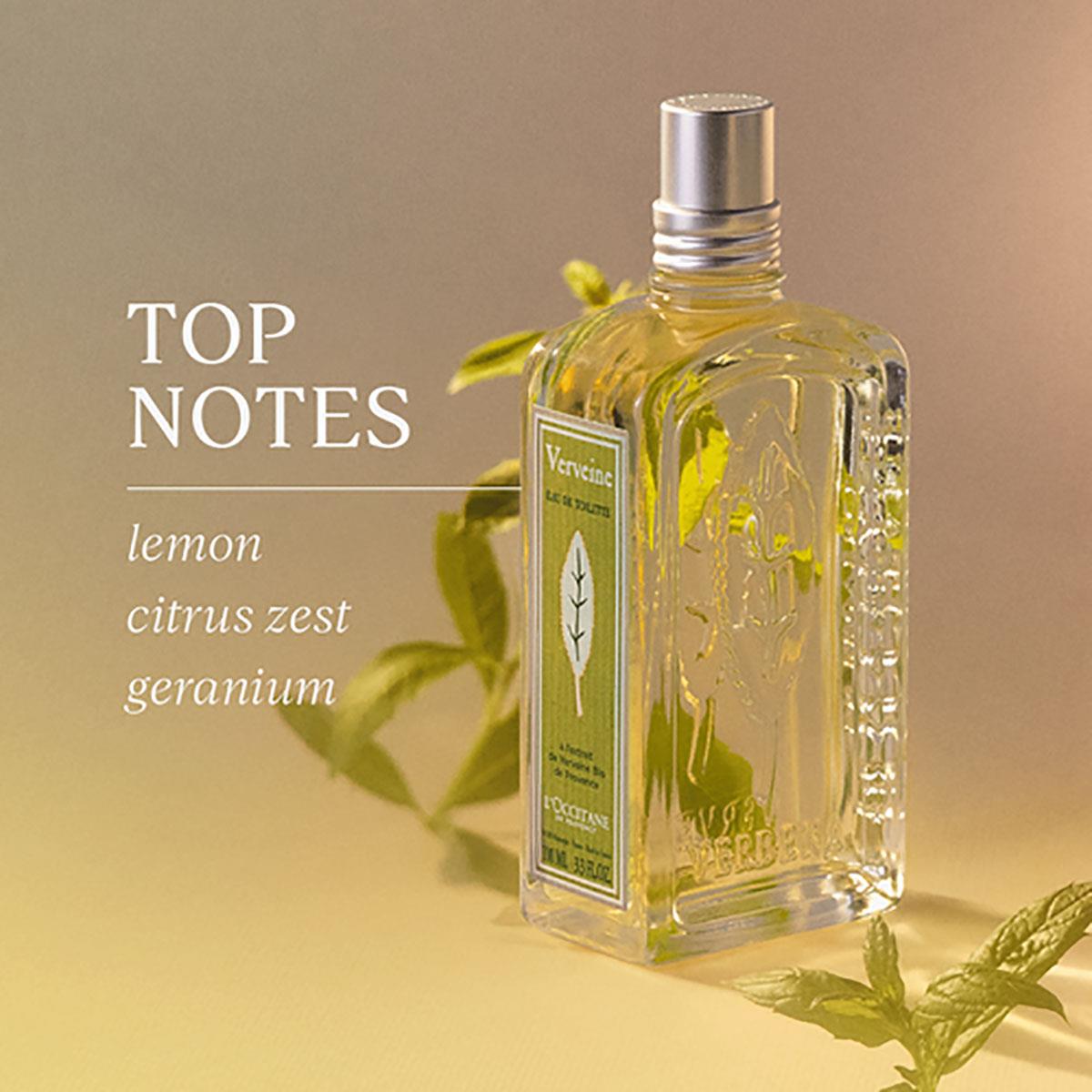 Verbena Eau de Toilette L'Occitane - Unisex Άρωμα - Δροσερό με βερβένα