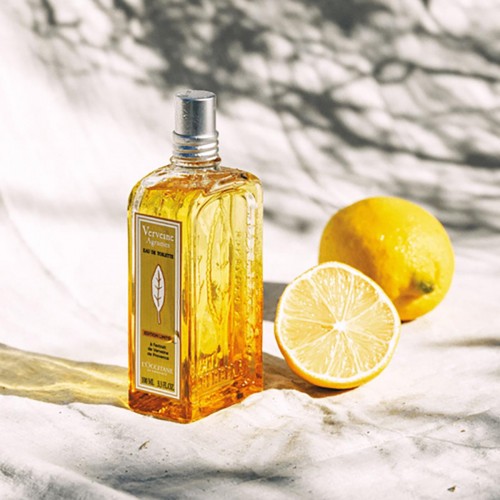 Verbena Citrus Eau De Toilette L'Occitane 100ml - Unisex άρωμα με βερβένα και εσπεριδοειδή