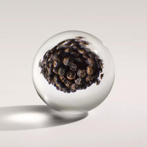 Reed Diffuser Refill Re-charge Black Pepper Molton Brown - Αρωματιστής Χώρου - 100% vegan formula