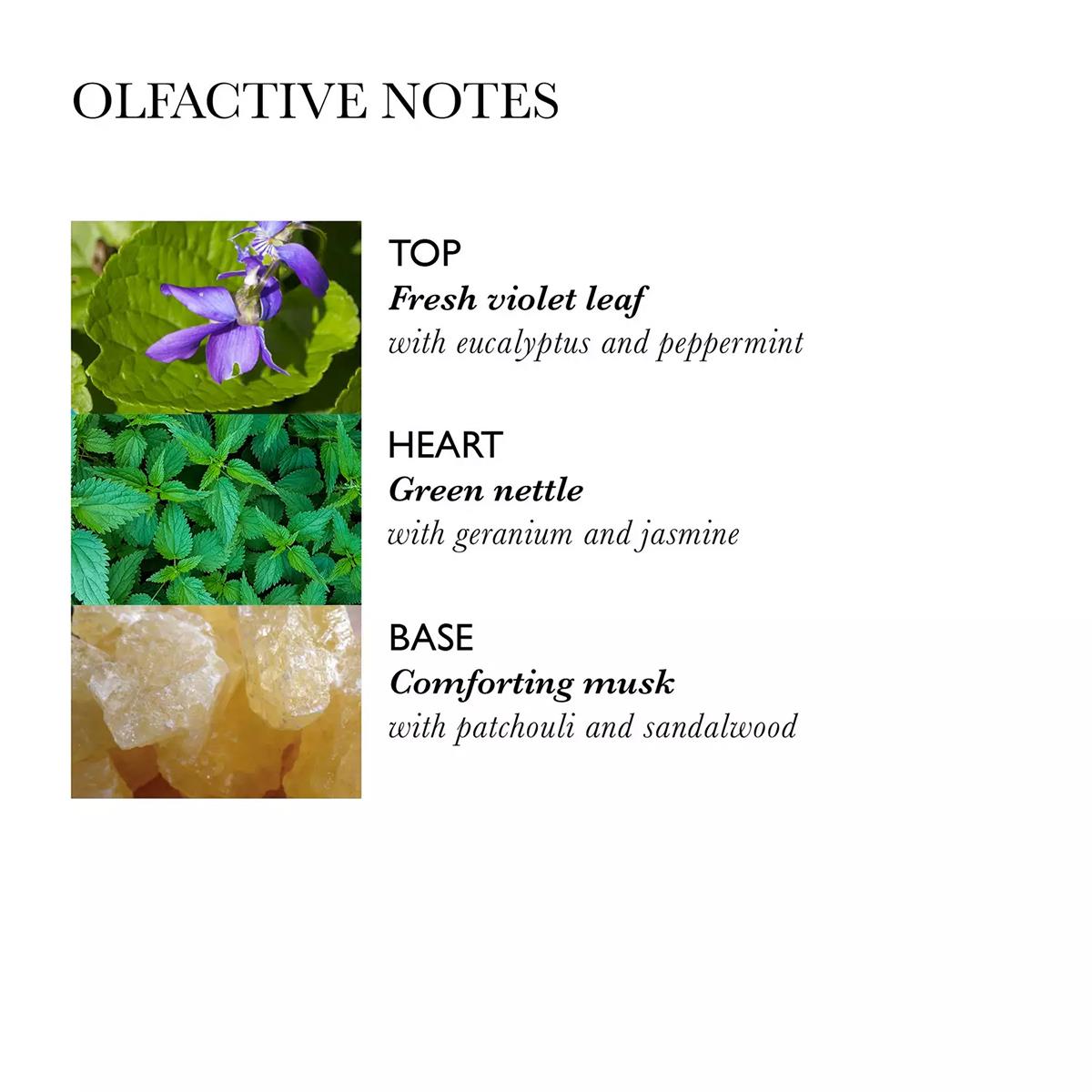 Volumising Conditioner Molton Brown Nettle - Grooming - Μαλακτικό για όγκο με τσουκνίδα