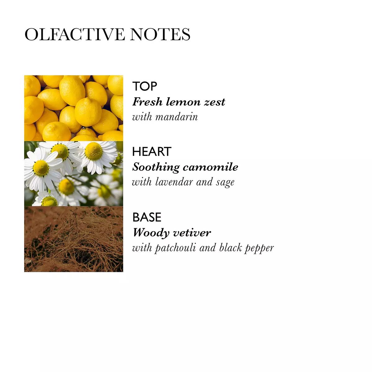 Hydrating Conditioner Molton Brown - Μαλακτική κρέμα με χαμομήλι - Ενυδάτωση μαλλιών