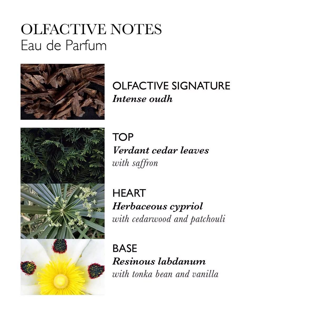 Labdanum Dusk Eau de Parfum Molton Brown - Oriental Woody άρωμα με labdanum και oud