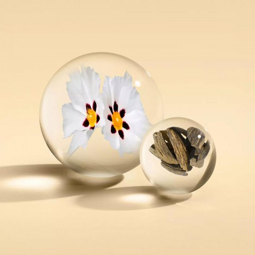 Labdanum Dusk Eau de Parfum Molton Brown - Oriental Woody άρωμα με labdanum και oud