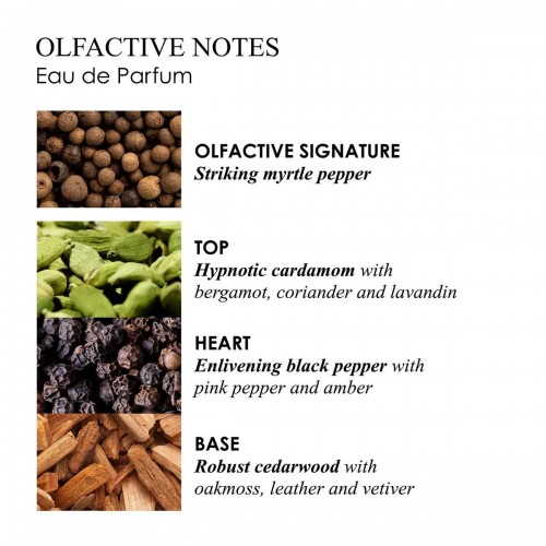 Re-Charge Black Pepper Eau de Parfum 100ml Molton Brown - Aromatic Spicy men's fragrance