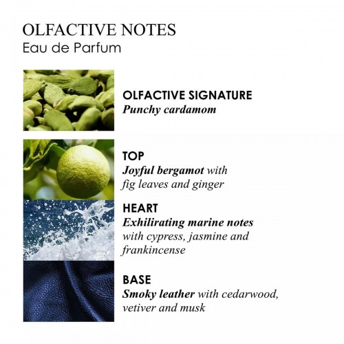 Eau de Parfum Molton Brown Coastal Cypress & Sea Fennel - Unisex Aromatic Aquatic fragrance