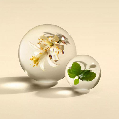 Orange & Bergamot Eau de Parfum Molton Brown - Unisex Citrus Aromatic άρωμα 100ml