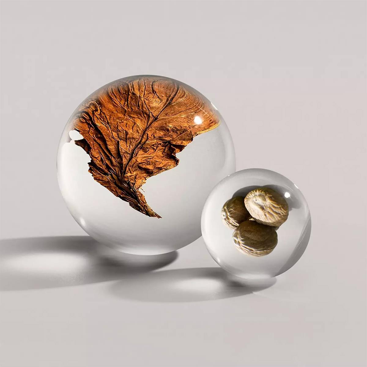 Tobacco Absolute Eau de Parfum Molton Brown - Unisex Woody Aromatic Άρωμα - Vegan Formula