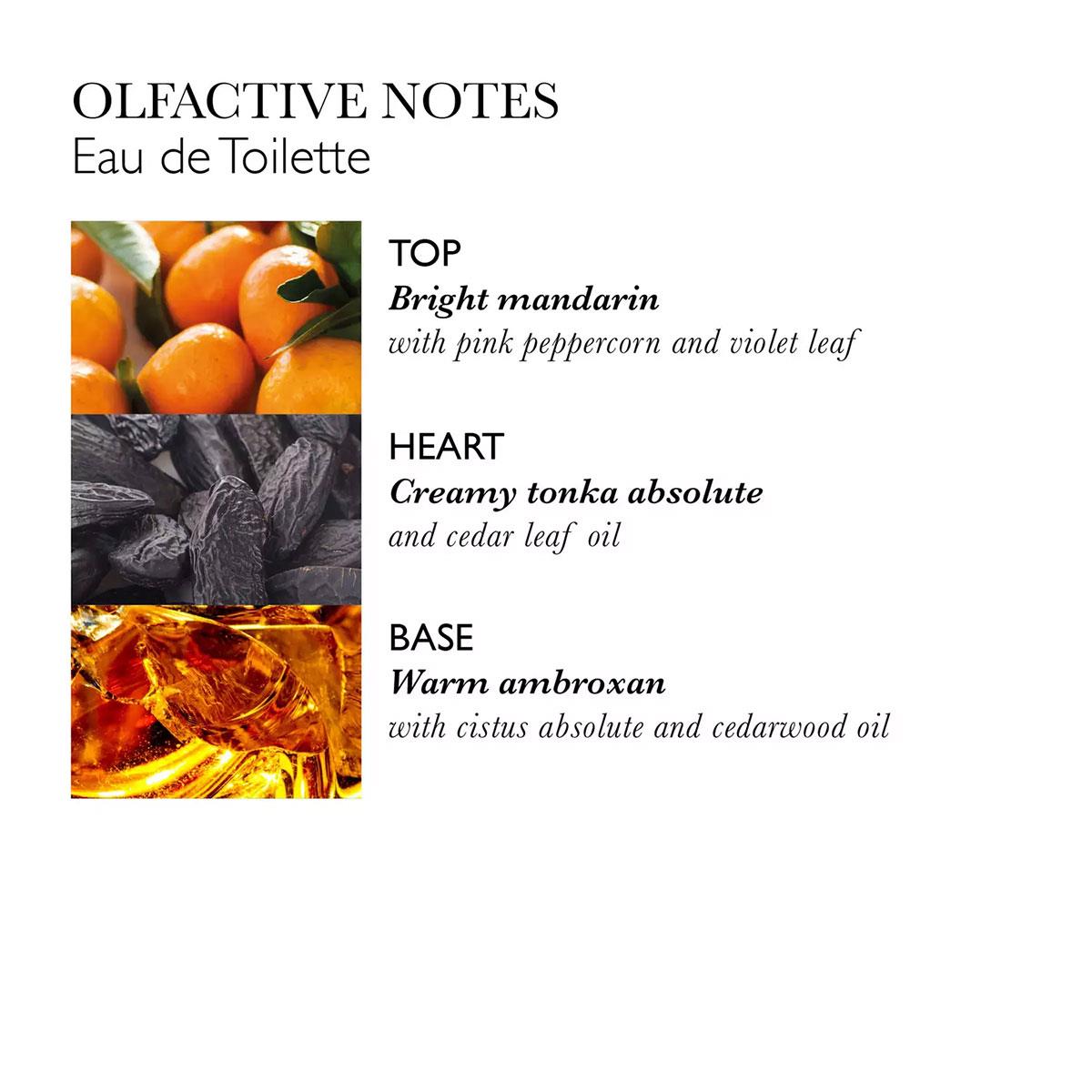 Eau De Toilette Neon Amber Molton Brown - Oriental Woody Fragrance - Unisex άρωμα με ambroxan