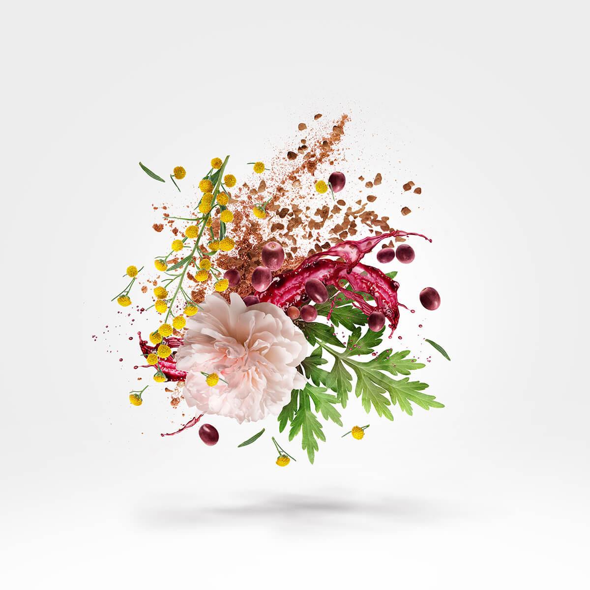 Xerjoff Zefiro 100ml Eau De Parfum - Amber Spicy Unisex Άρωμα