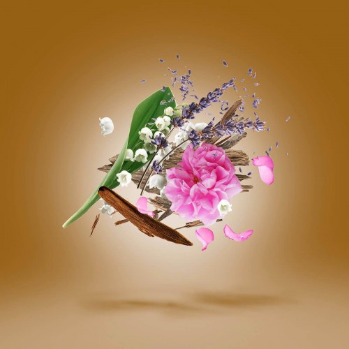 Alexandria II Xerjoff 30ml - Oriental Woody Fragrance - Πολυτελές unisex άρωμα με Oud