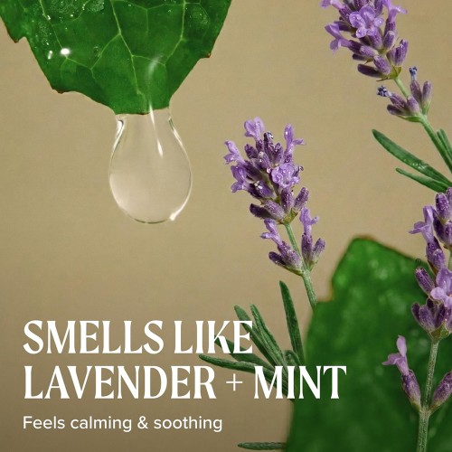 Moisturizing Conditioner Lavender Mint Paul Mitchell - Hair Conditioner - Moisturising dry hair