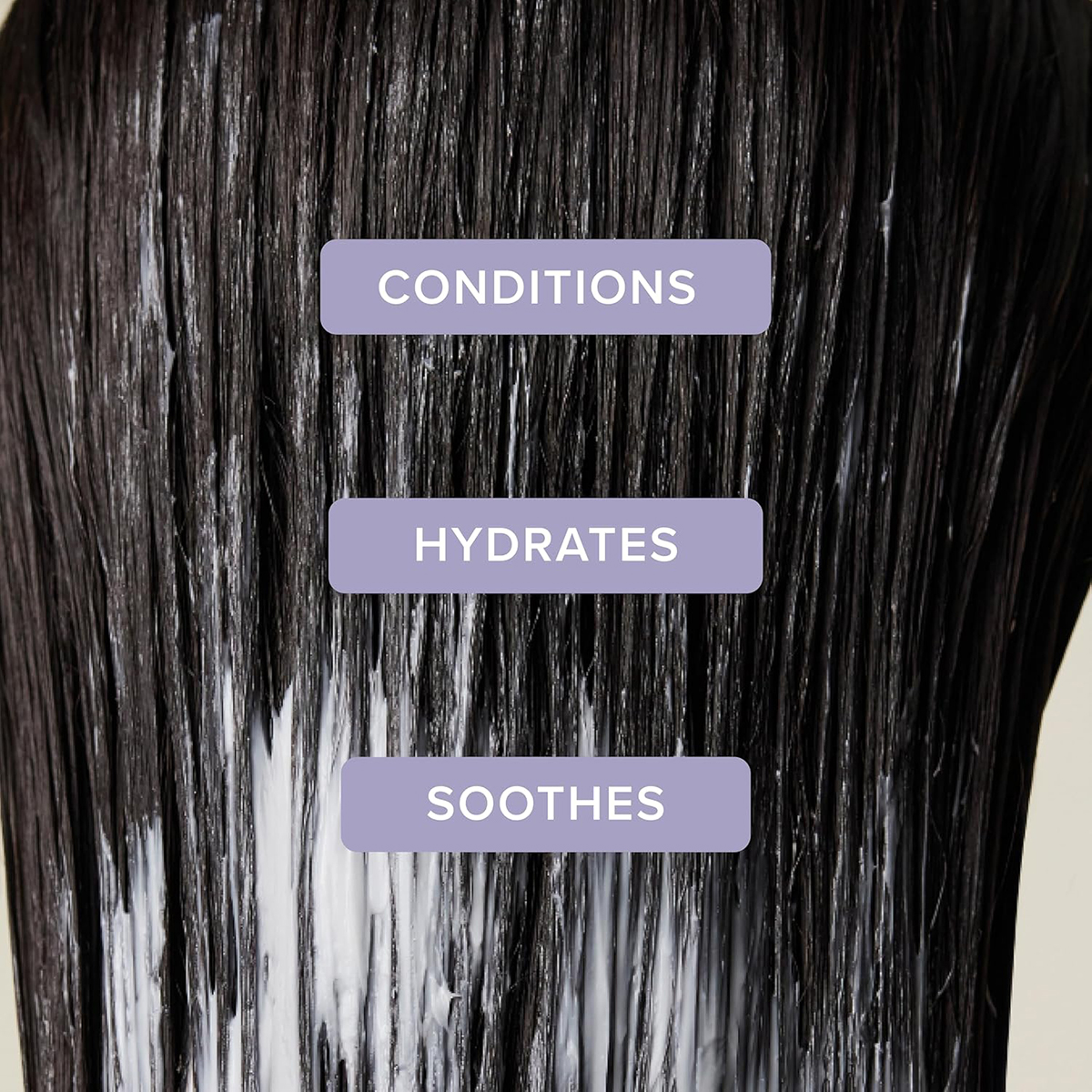 Moisturizing Conditioner Lavender Mint Paul Mitchell - Hair Conditioner - Moisturising dry hair