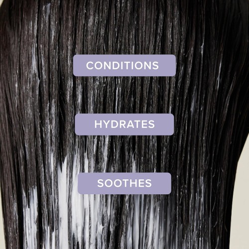 Paul Mitchell Lavender Mint Shampoo 1000ml - Moisturising shampoo for dry hair