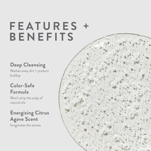 Deep Cleansing Shampoo Paul Mitchell Heavy Hitter - Grooming - Colour-safe formula