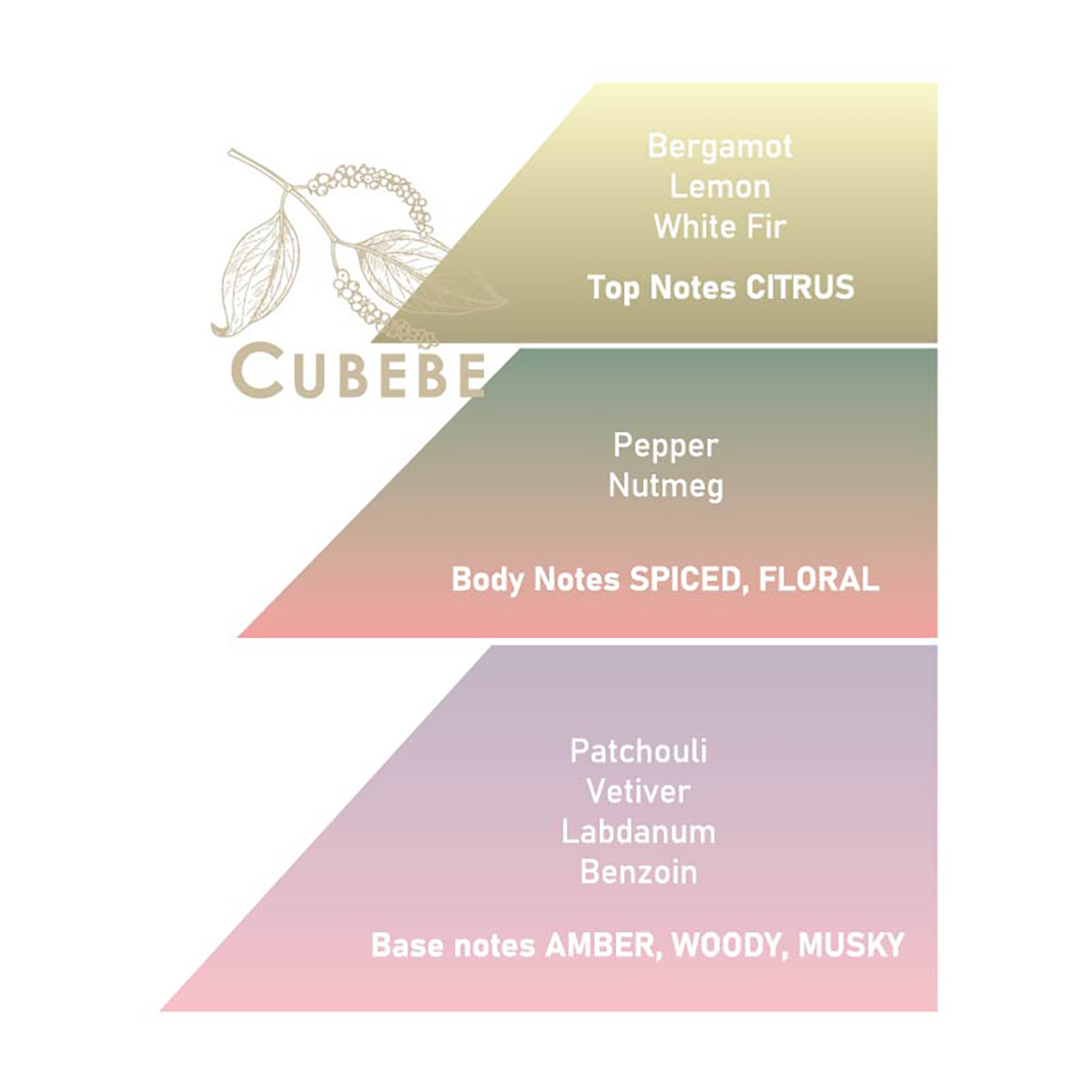 Cubebe Eau de Parfum Saponificio Varesino - Men's fragrance with Piper Cubeba