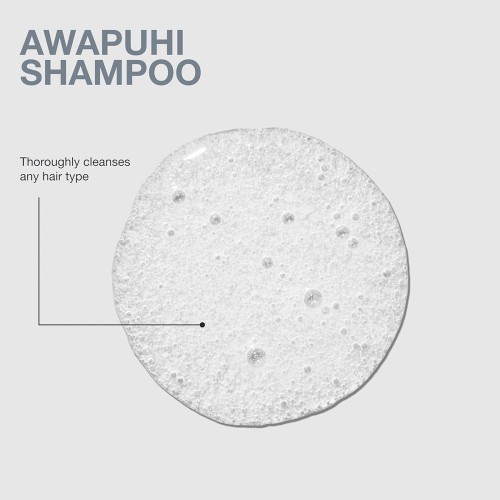Paul Mitchell Awapuhi Σαμπουάν - Grooming - Ενυδάτωση μαλλιών καθημερινής χρήσης