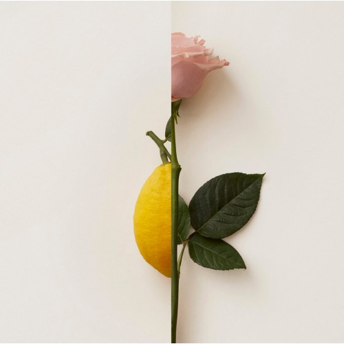 New Notes Rosa Limone 50ml Extrait De Parfum – άρωμα με τριαντάφυλλο και λεμόνι