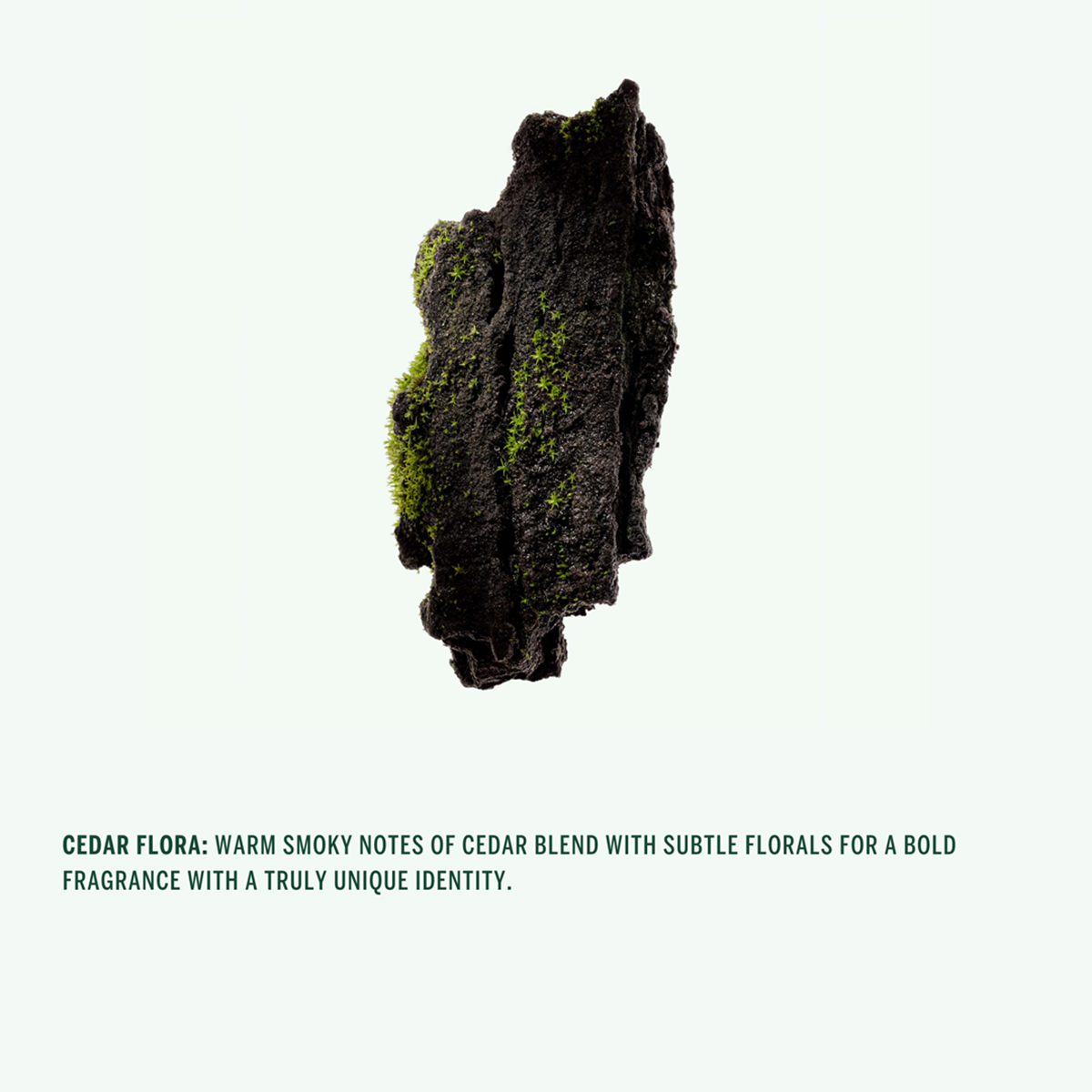 Corpus Cedar Flora Deodorant Spray 75ml - Φυσικό αποσμητικό με πρεβιοτικά και ένζυμα