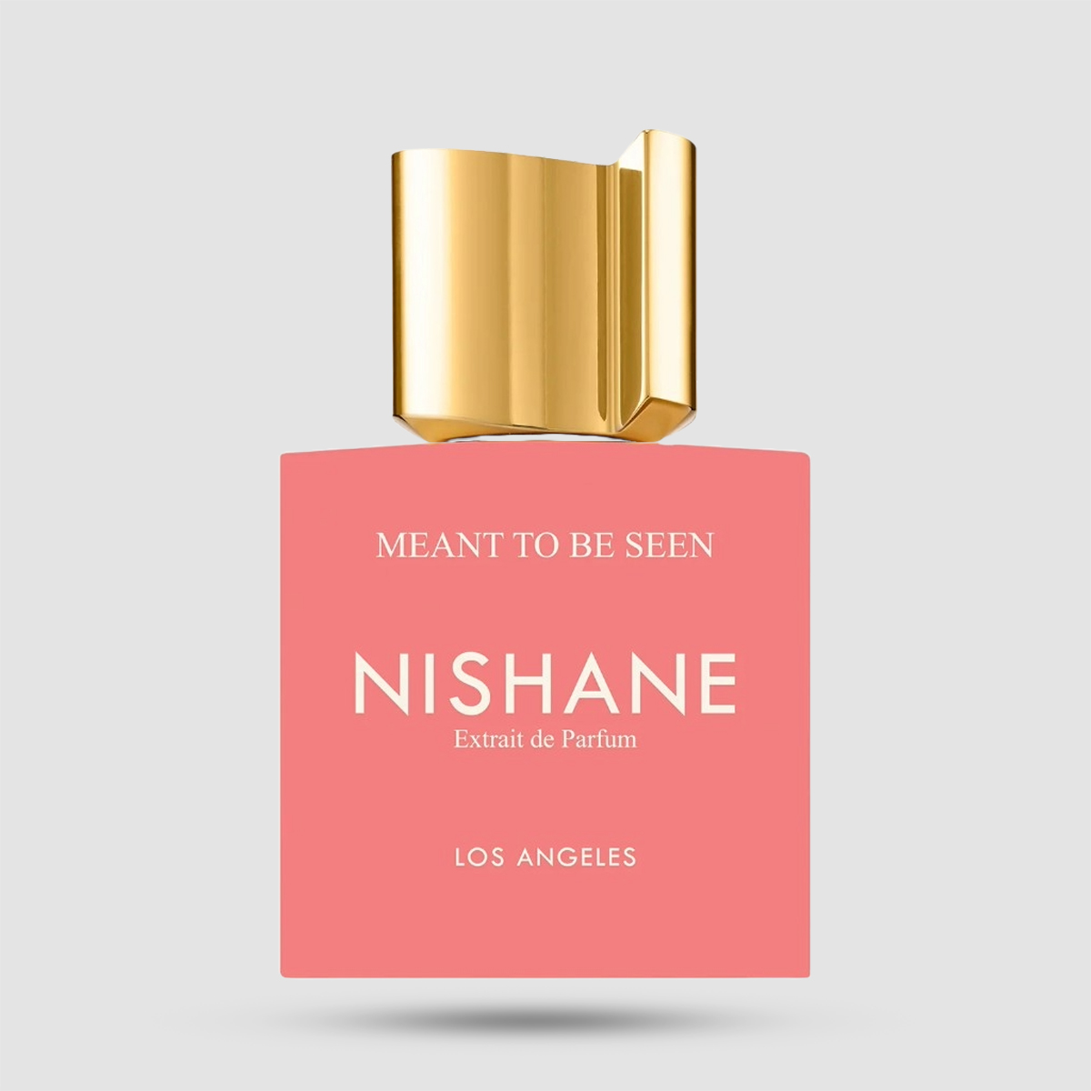 Nishane Meant To Be Seen Extrait de Parfum 100ml unisex fragrance