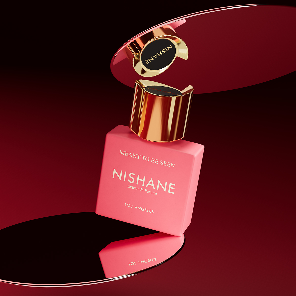 Nishane Meant To Be Seen Extrait de Parfum 100ml unisex fragrance