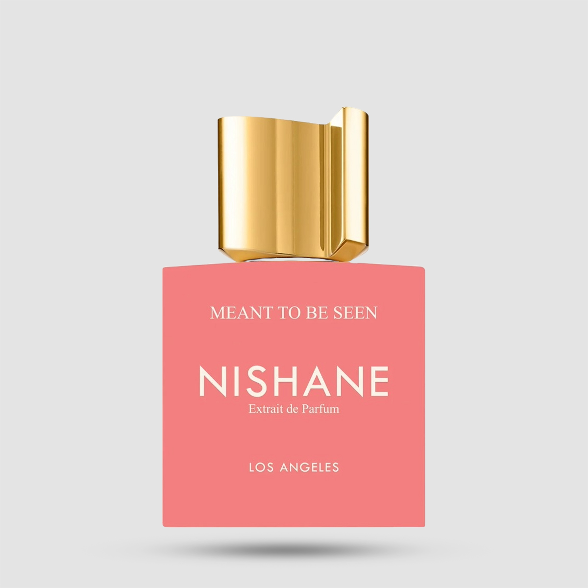 Nishane Meant To Be Seen Extrait de Parfum 50ml unisex άρωμα