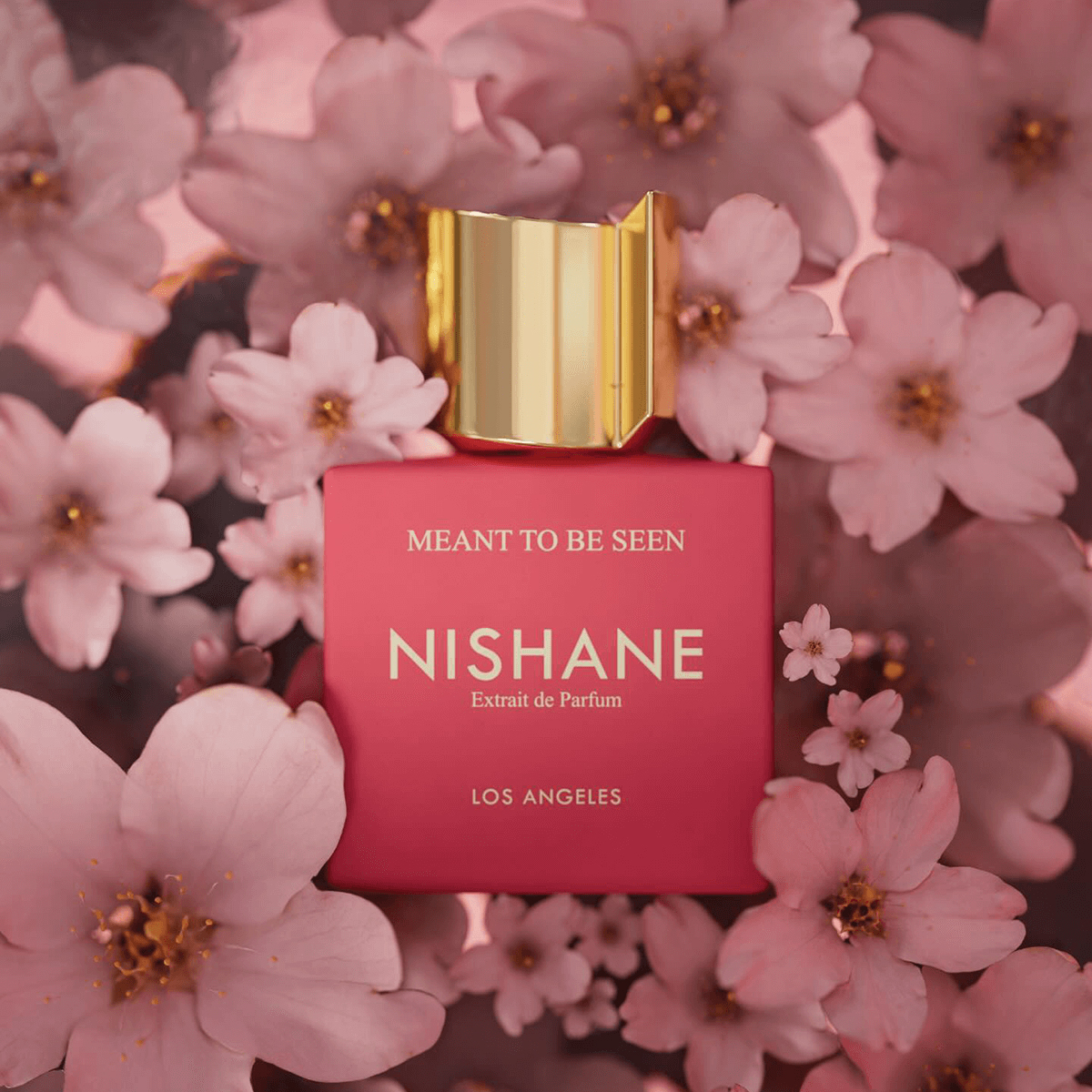 Nishane Meant To Be Seen Extrait de Parfum 50ml unisex άρωμα