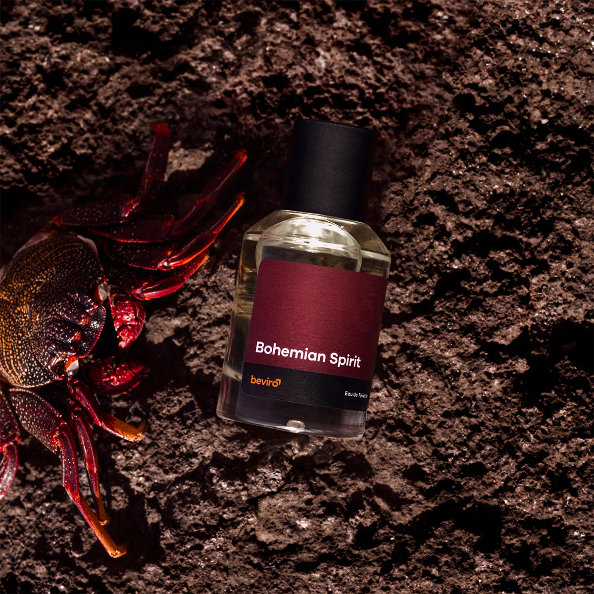 Beviro Bohemian Spirit Eau de Toilette 50ml - Γλυκό Πικάντικο Ανδρικό Άρωμα