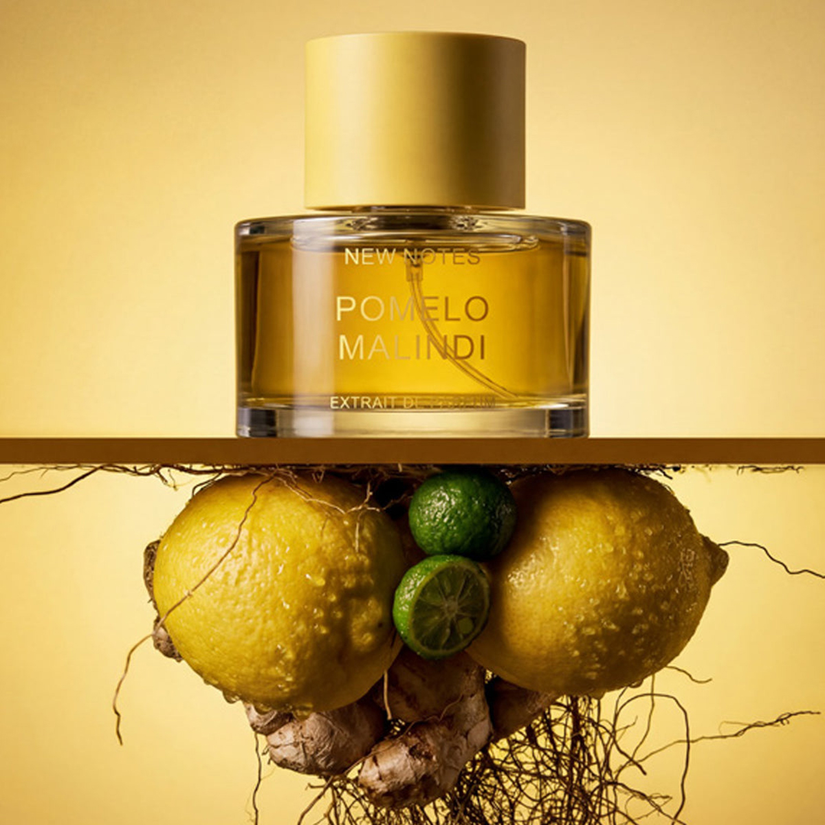 New Notes Pomelo Malindi Extrait de Parfum 50ml - Πομέλο Γιούζου Λευκό Κεχριμπάρι