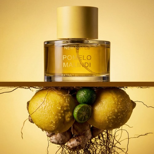 New Notes Pomelo Malindi Extrait de Parfum 50ml - Πομέλο Γιούζου Λευκό Κεχριμπάρι