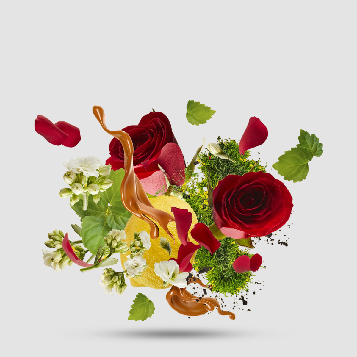 Casamorati 1888 Levar Del Sole Eau De Parfum 30ml - Unisex Chypre Fruity άρωμα