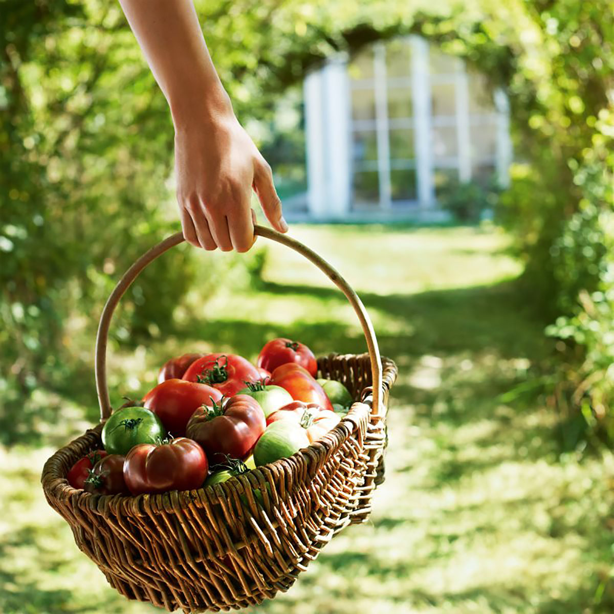 Replica From The Garden Maison Margiela - Eau de Toilette - Unisex Citrus Woody άρωμα με Tomato Leaf